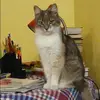 Отзыв от Елена Дружинина
